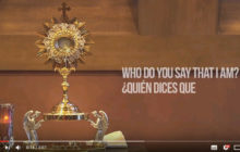 The Beauty of the Catholic Church Video